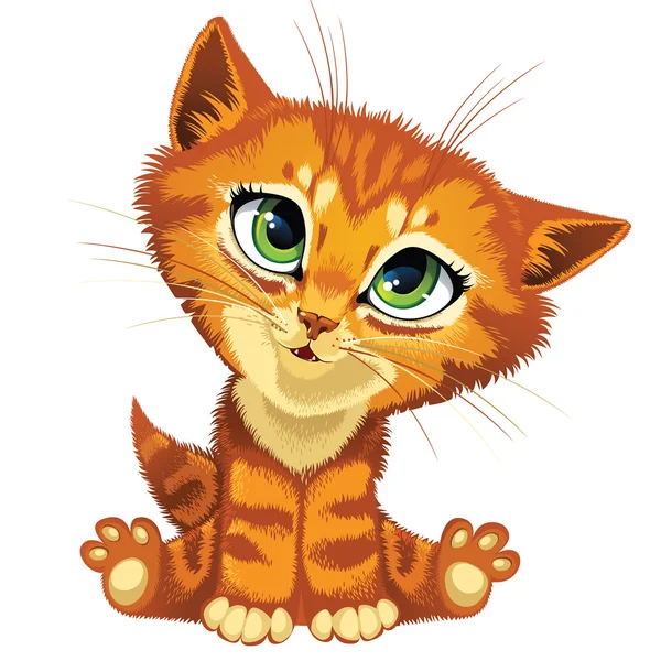 Yavru kedi