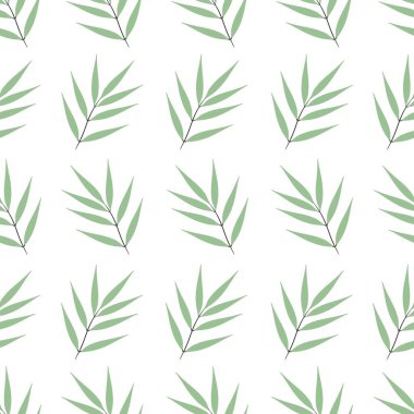 Basit bir çiçek deseni. Beyaz arka planda bir bitkinin güzel yeşil yaprakları.
