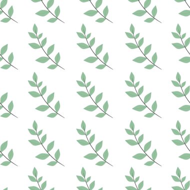 Basit bir çiçek deseni. Beyaz arka planda bir bitkinin güzel yaprakları.