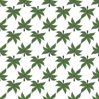 Basit bir çiçek deseni. Beyaz arka planda bir bitkinin güzel küçük yaprakları.