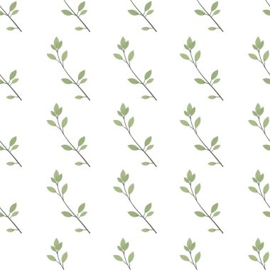 Basit bir çiçek deseni. Beyaz arka planda bir bitkinin güzel küçük yaprakları.