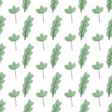 Basit bir çiçek deseni. Beyaz arka planda bir bitkinin güzel küçük yaprakları.