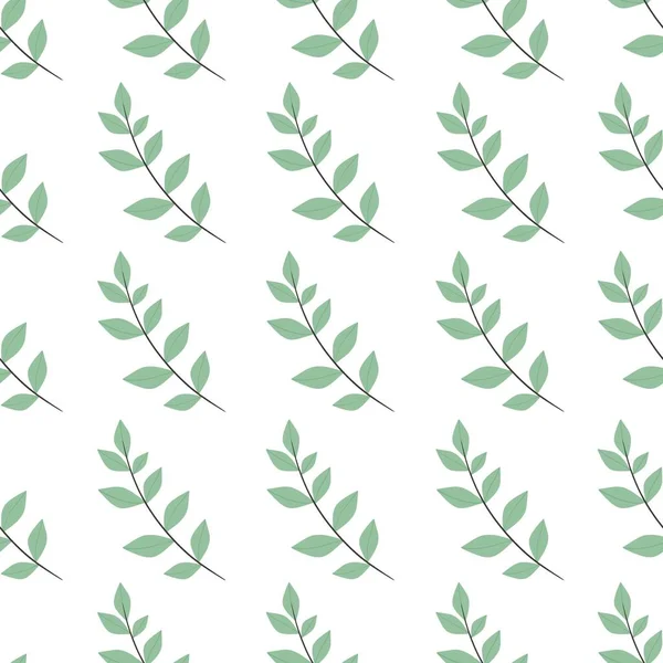 Basit bir çiçek deseni. Beyaz arka planda bir bitkinin güzel yaprakları.