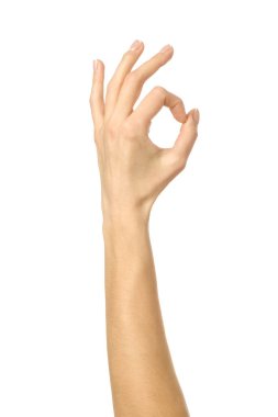 Tamam imzala. Beyaz arka planda izole edilmiş Fransız manikürlü kadın eli. Dizinin bir parçası