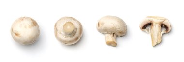 Beyaz arka planda izole edilmiş şampiyonlar koleksiyonu. Birden fazla resim seti. Dizinin bir parçası