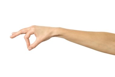 El pençe, el ele tutuşmak, kavramak ya da uzanmak. Beyaz arka planda izole edilmiş Fransız manikürlü kadın eli. Dizinin bir parçası