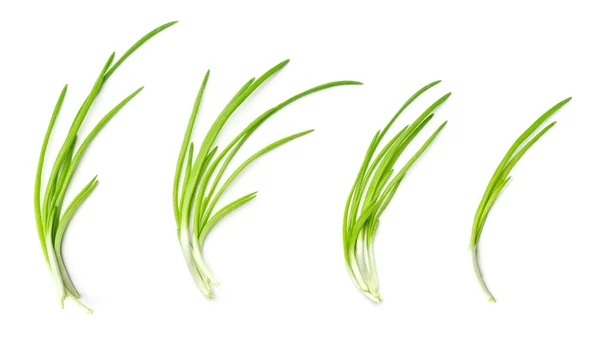 Collection Young Green Onion Isolated White Background Set Multiple Images Royalty Free Stock Images