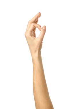 Tamam imzala. Beyaz arka planda izole edilmiş Fransız manikürlü kadın eli. Dizinin bir parçası