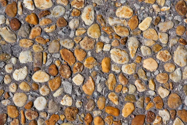 Colored stones on a gray background — Stock Photo, Image