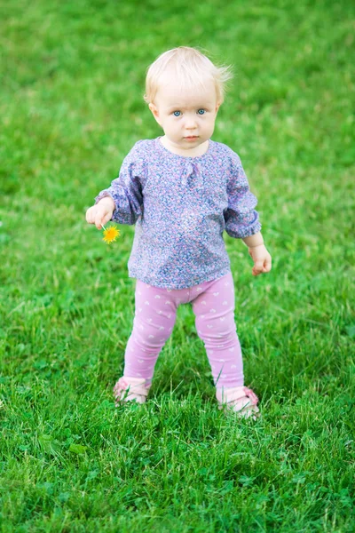 Grappige schattige babymeisje met bloem op een weide — Stockfoto