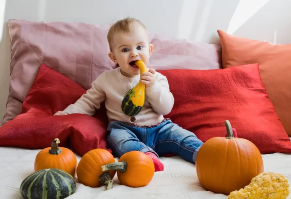 Funny baby eating pumpkin — Stock Photo, Image