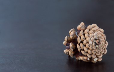 çam kozalağı siyah ahşap zemin üzerinde