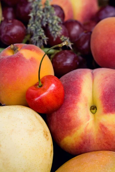 Vindruvor, persika, körsbär, skörd — Stockfoto