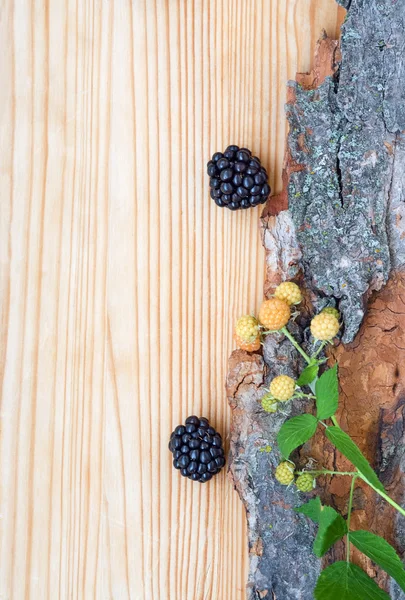 BlackBerry, framboos op hout, kaart — Stockfoto