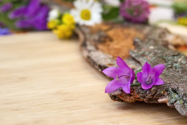 Violet bell-flowers on light board — Stock Photo, Image