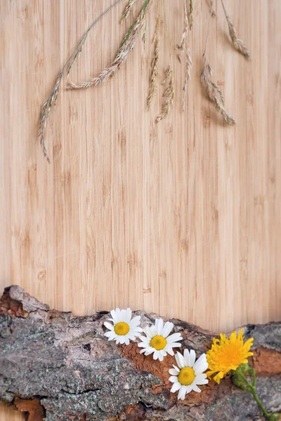 Flowers on old bark, rustic — Stock Photo, Image