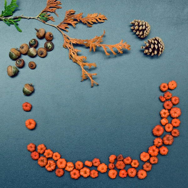 Autumn frame, pumpkins, cones, acorn — Stock Photo, Image