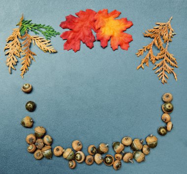 sonbahar sonbahar çerçeve, yaprakları, meşe palamutları