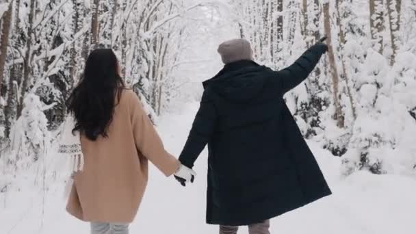 Мила пара, що йде в зимовому лісі тримає руки. Історія кохання з вигляду ззаду. Людина показує в бік — стокове відео