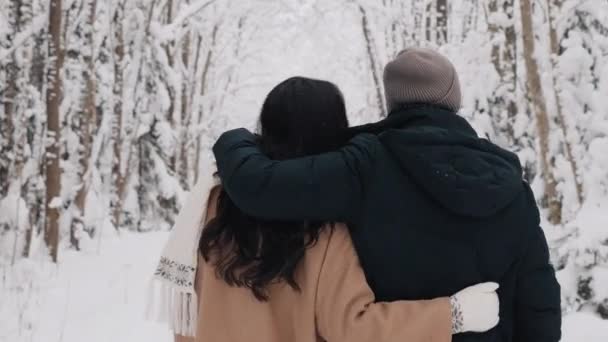 Söta par som går i Vinterskogen kramas. Kärleksberättelse från baksidan — Stockvideo