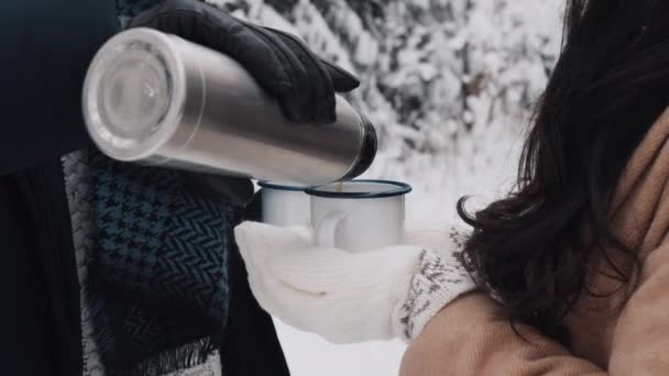 Χαριτωμένο ζευγάρι Έχοντας χειμώνα δάσος πικνίκ Ρίχνει τσάι σε φλιτζάνια τσαγιού. Πικνίκ της φύσης. Ημερομηνία ιστορίας αγάπης — Αρχείο Βίντεο
