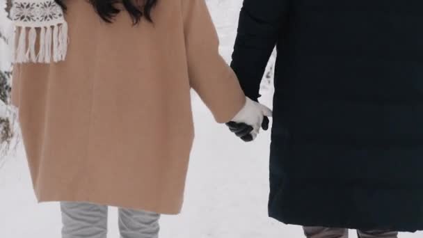 Aranyos pár sétál a Téli Erdőben, fogják egymás kezét. Szerelmi történet a hátsó kilátásból. Kezek bezárva Kilátás — Stock videók
