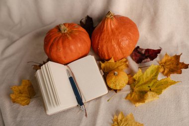 Pumpkins Autmn ya da Fall, Masa Üzerine Not Defteri ile kuruldu. Balkabağı Kaplamalı Dekor. Sonbahar Ofisi. Bellek Kitabı