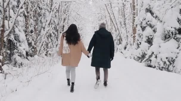 Aranyos pár sétál a Téli Erdőben, fogják egymás kezét. Szerelmi történet a hátsó kilátásból. Teljes hosszúságú pár séta — Stock videók