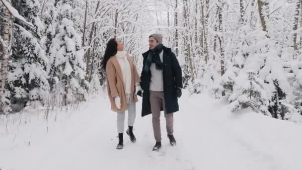 冬の森を歩くかわいいカップルが手を握っています。バックビューからの愛の物語。フルレンズカップルがカメラに直面して歩く — ストック動画