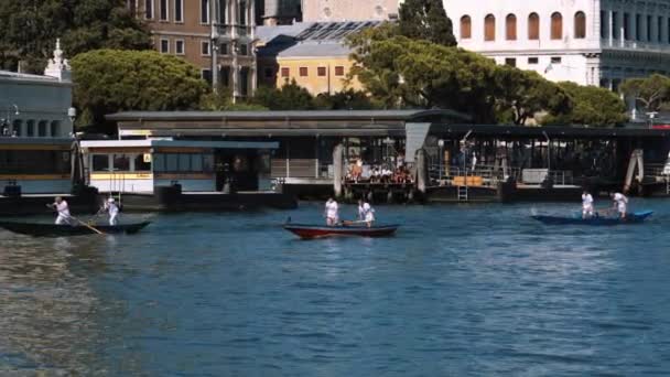 Venecia Italia Septiembre 2021 Regata Storica Regata Histórica Canal Grande — Vídeos de Stock