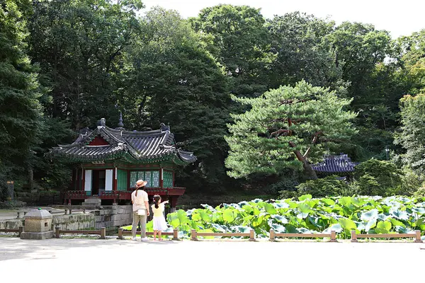 Palazzo Changdeokgung Corea — Foto Stock