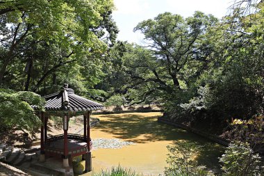 Kore 'de Changdeokgung Sarayı..