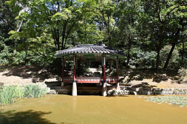  Kore 'de Changdeokgung Sarayı..