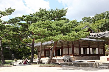  Kore 'de Changdeokgung Sarayı..
