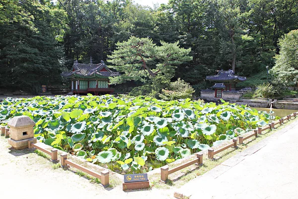 Palácio Changdeokgung Coréia — Fotografia de Stock