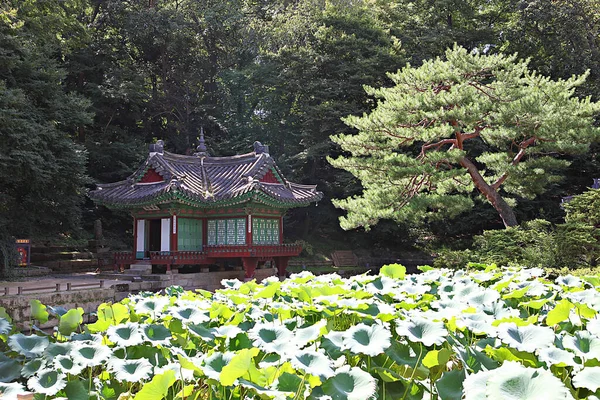 Its Changdeokgung Palace Korea — Stock Photo, Image