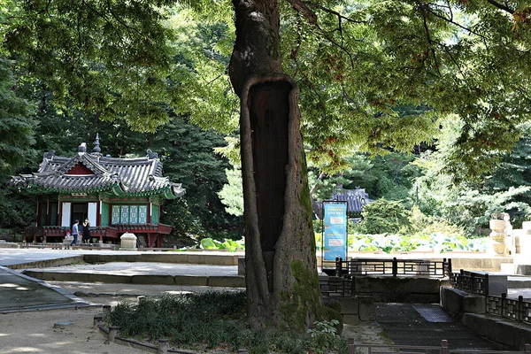 Είναι Ένα Παλάτι Changdeokgung Στην Κορέα — Φωτογραφία Αρχείου