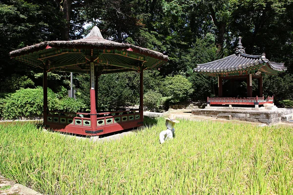 Ist Ein Changdeokgung Palast Korea — Stockfoto