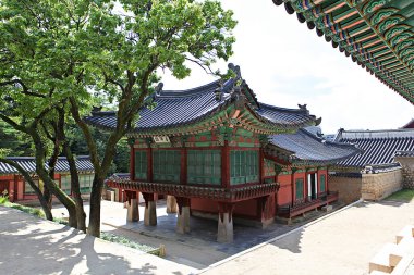  Kore 'de Changdeokgung Sarayı..