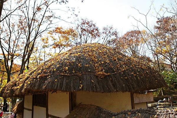 Son Village Folklorique Coréen — Photo