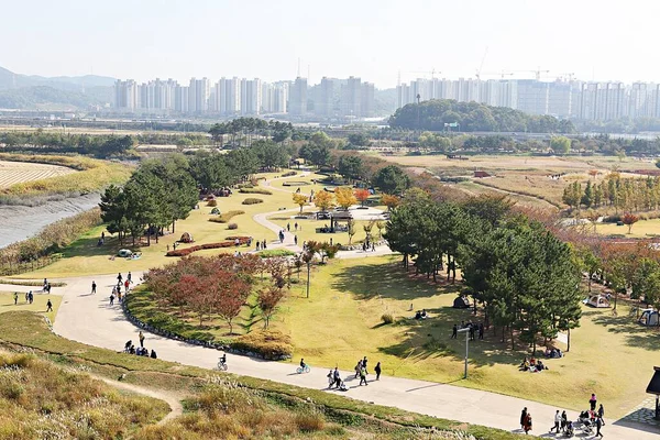 Son Protégé Tant Que Parc Écologique Corée — Photo