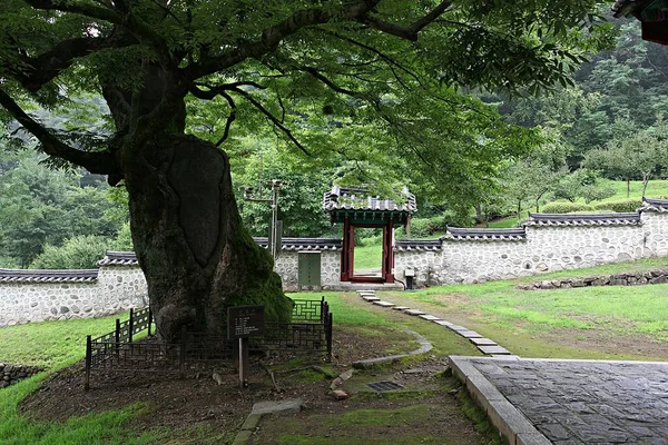 Suo Jaunseowon Accademia Conjucian Patrimonio Culturale Della Corea — Foto Stock