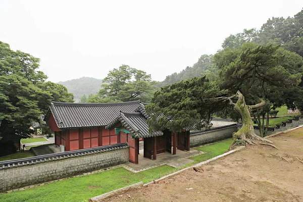 Jaunseowon Conjucian Akademisi Kore Nin Kültürel Mirası — Stok fotoğraf