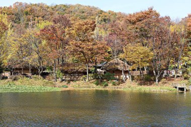  Bu bir Kore halk köyü..