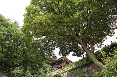 Bu bir Kore tapınağı.