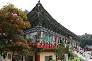  Bu bir Kore tapınağı.