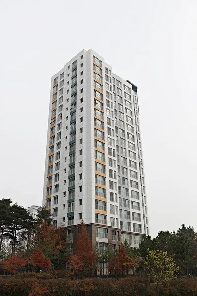 Διαμέρισμα Muiti Family Κατοικιών Στην Κορέα — Φωτογραφία Αρχείου