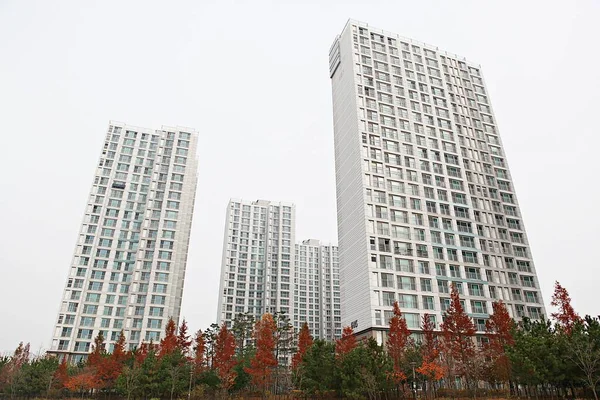 Appartamento Muiti Famiglia Alloggio Corea — Foto Stock