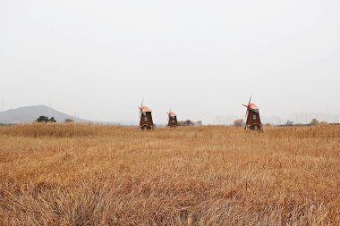  Kore ekoloji parkında yel değirmeni..