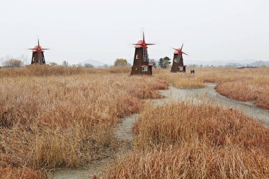  Kore ekoloji parkında yel değirmeni..